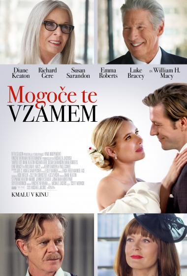 Mogoe te vzamem - poster