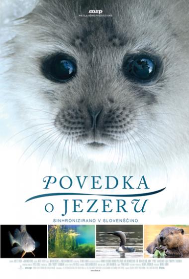 Ptice jezer, njihova vrnitev | Povedka o gozdu | Povedka o jezeru - poster